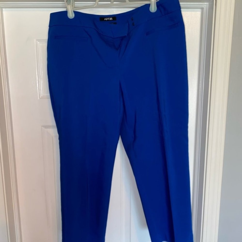 Apt. 9 Modern Fit Cropped Dress Pants Sz. 12 Bright Blue